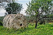 Selinunte Cave di Cusa. The quarry utilized for temple columns, today it is still possible to observe blocks and drums at different stages of preparation. 